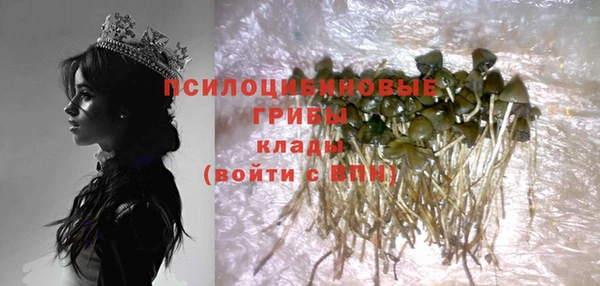 кокс Алзамай