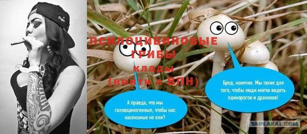 дживик Алексин