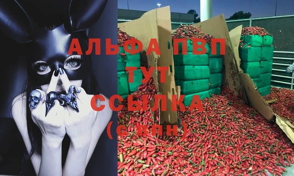 дживик Алексин