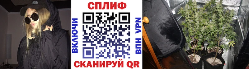 даркнет официальный сайт  Покров  Бошки марихуана планчик 